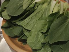 -龍歌自助小火锅(芝罘万达店)
