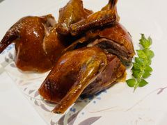 -甄御•海鲜新青岛菜(麦岛店)