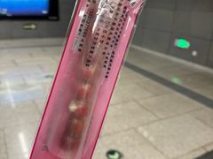 -和禄德冰糖葫芦