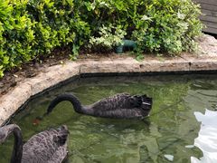 -南京圣和府邸豪华精选酒店