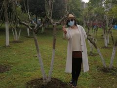-汉水公园