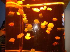 -多彩贵州城极地海洋世界