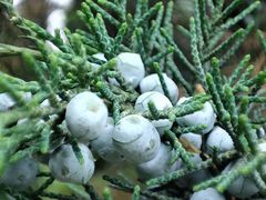 -济南国际园博园