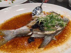 -飞尝蚝·顺德菜·鱼生(顺德总店)