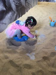 -恐龙探索乐园(磁器口店)