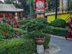 -白家大院·王府宫廷菜(苏州街店)