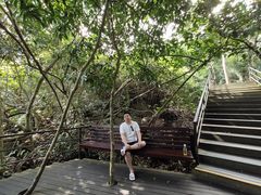 -呀诺达热带雨林