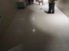 -金鹰国际购物中心(江都店)