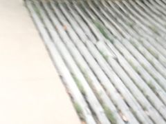 -山葵家居酒屋(天目里店)
