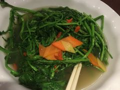 上汤浸时蔬-莲池荟素食馆·12年老字号(光孝寺店)