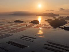 -花竹村
