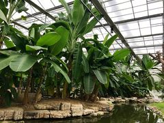 -南通洲际绿博园