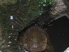 -蛇蟠岛