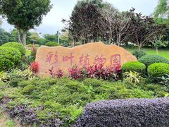 -东莞植物园