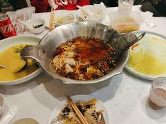 -沸腾鱼乡(知春路分店)