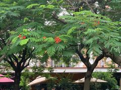 -缘生态云南菜·野生菌庭院餐厅(华侨城店)