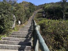 -梧桐山风景名胜区