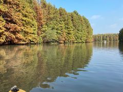 -上海海湾国家森林公园