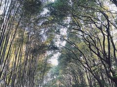 -同里国家湿地公园