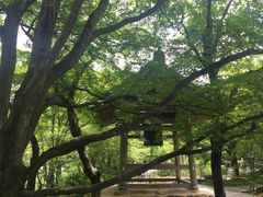 -常寂光寺