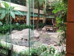 -白虎自助餐厅·真老虎·景观自助餐厅(广州长隆酒店)