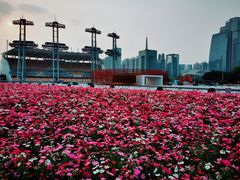 -海心沙亚运公园