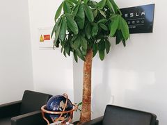 -北亚国超特斯拉授权钣喷中心