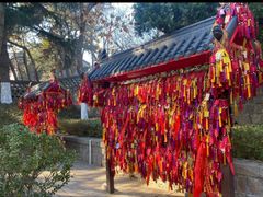 -湛山寺