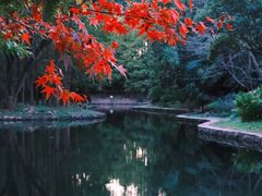 -上海共青森林公园