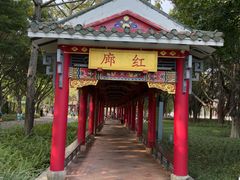 -顺峰山公园