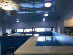 -子木乐园婴儿游泳馆(水晶港店)