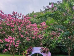 -杭州城北体育公园