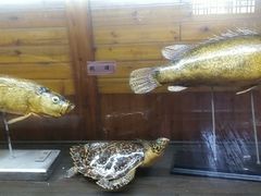 -南京金牛湖风景区