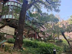 -香港大学
