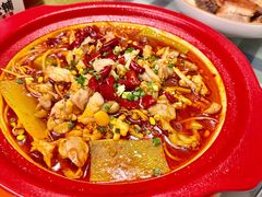 -阿财老铺·老蚌埠龙虾城(华夏总店)