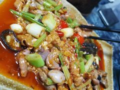 -青城甲(青城山店)