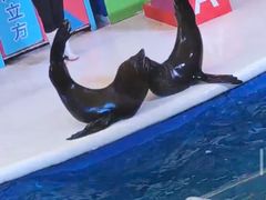 -成都浩海立方海洋公园