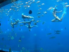-瑞德姆美人鱼海底演艺主题餐厅(亚龙湾店)