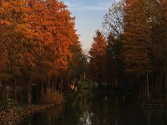 -西溪国家湿地公园