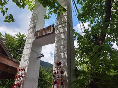 -西双版纳原始森林公园