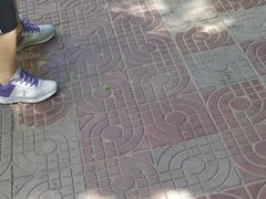 -东丽温泉羽毛球