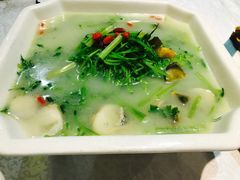 上汤豆苗-京味民福烤鸭店(建设四马路店)