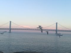 -星海湾跨海大桥