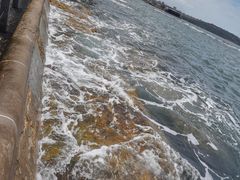 -麦考利夫人座椅