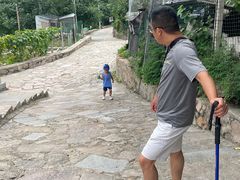 -大岭沟猕猴桃谷风景区