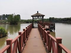 -圩墩遗址公园