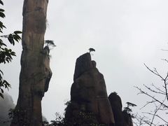-少华山国家森林公园
