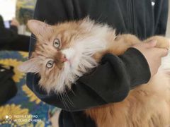 -平行世界·猫咖(首经贸店)