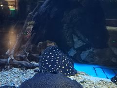 -华夏文旅西安度假区