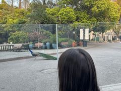 -J Create城市露营咖啡·简餐·宠物(上海动物园店)